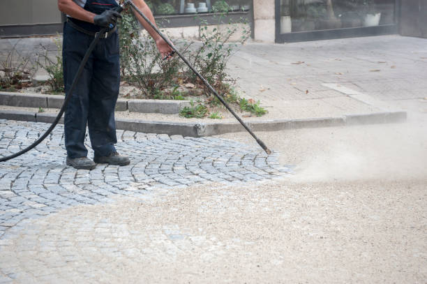 Best Sidewalk and Walkway Cleaning  in Silver Lake, FL